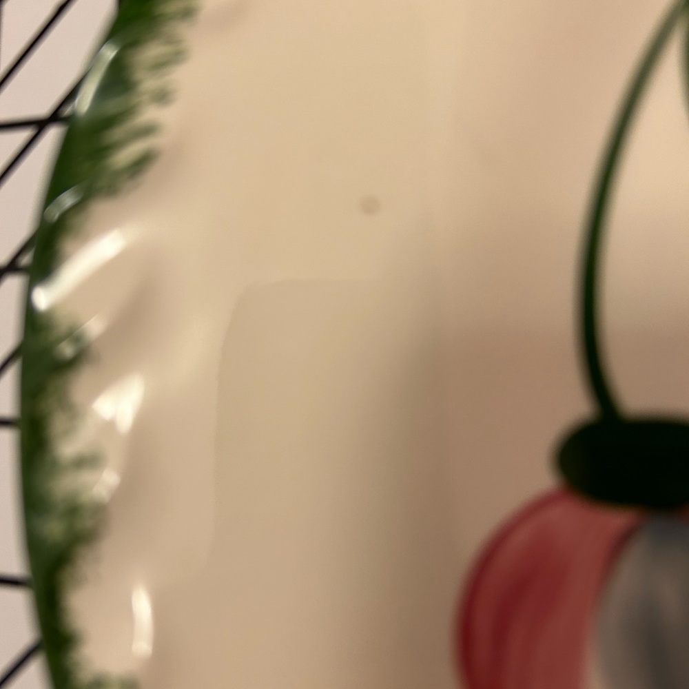 Blue Ridge “Whirligig” platter - Picture 5 of 5